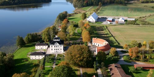 “Många söker efter en bra prislapp”