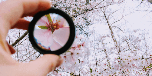 8 tips: Så hittar du fokus på jobbet