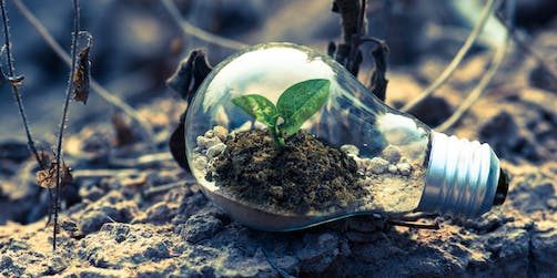 Ny eventutbildning med fokus på miljö