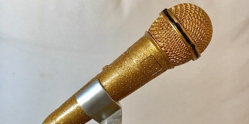 Han vinner Stora Talarpriset 2018