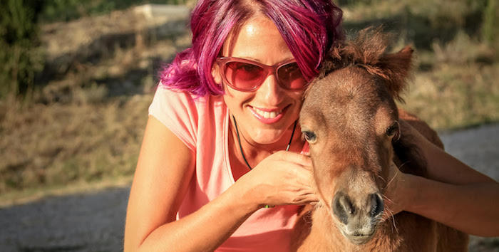 Djur kan ge effektivare möten