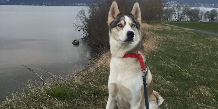 Elmiavd:n: ”Jag ser mig själv som en katalysator”