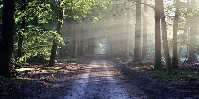 Nytt koncept för möten i avskildhet