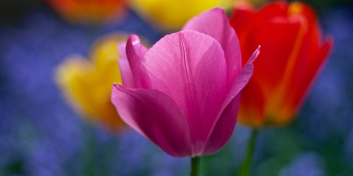 Lista: 9 mötesutvecklare som får ditt webinar att blomstra