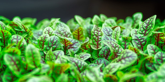 Hur får man fler bra idéer?