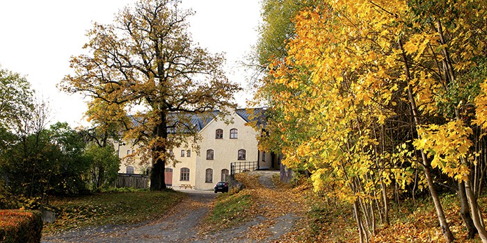 Digitala möten har fördelar – men när ses vi?! 