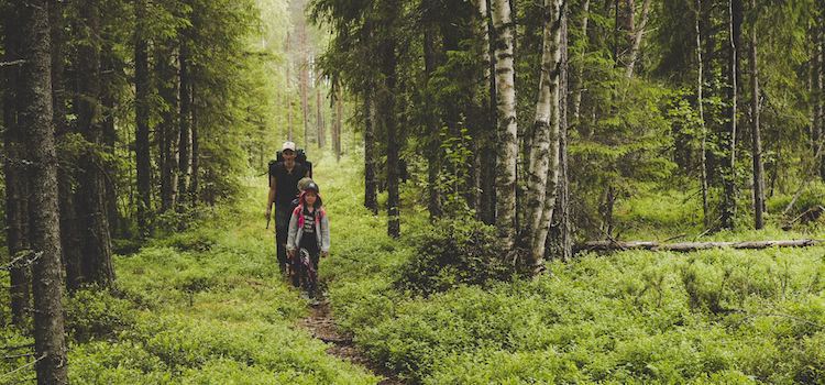 20 Sommaraktiviteter i Skellefteå