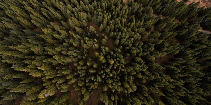 Elmia Wood väljer Avisita som officiell bokningspartner