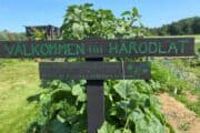 Inspirerande konferens: härodlad matlagning i Örby