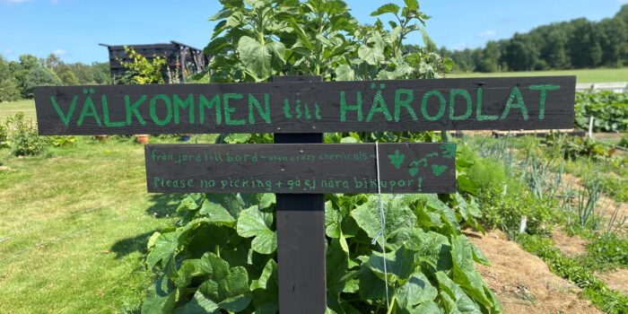 Inspirerande konferens: härodlad matlagning i Örby