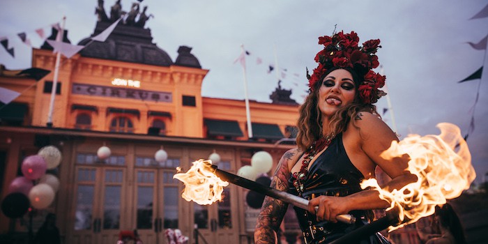 Exklusivt Chef’s Table eller mingelmiddag för 1 000 personer – ingen dag är den andra lik i Cirkus kök